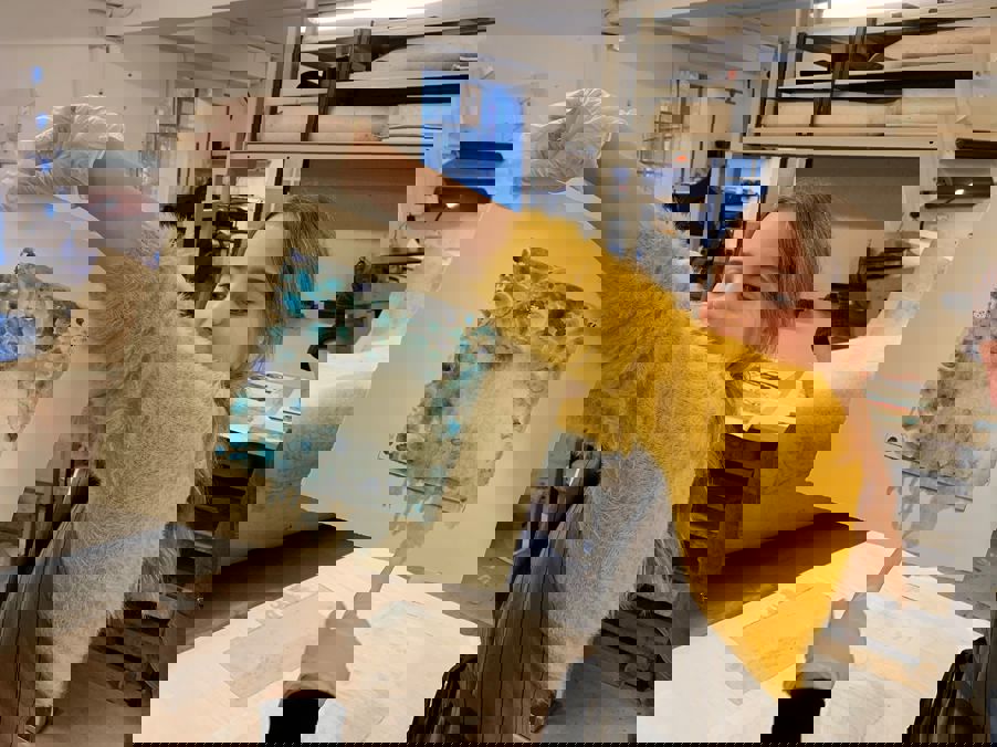 Norske Grafikeres Verksted – ferdig resultat (foto: Hanne) Norske Grafikeres Verksted – ferdig resultat (foto: Hanne)